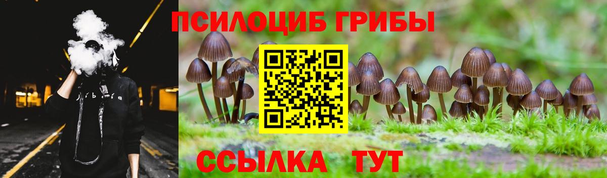 Чебаркуль  Псилоцибиновые грибы GOLDEN TEACHER  Вход с VPN 